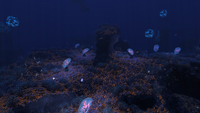 A cluster of Membrain Trees in the Grand Reef