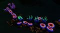 Bioluminescence