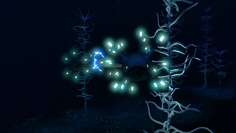 File:Blood Kelp Zone Trench (7).jpg