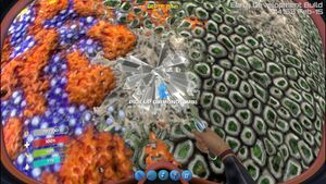 Diamond1.jpg