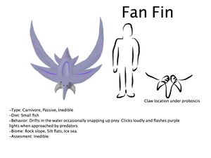 Fan Fin.jpg