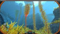 A developer screenshot of the biome