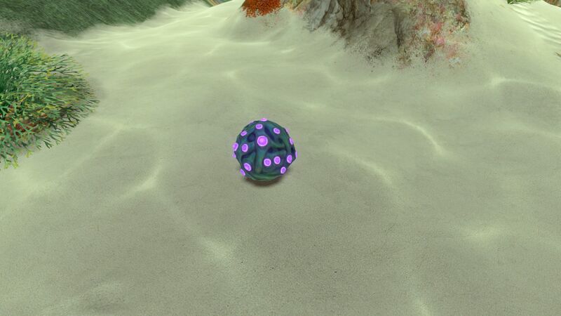 File:Jelly Plant (1).jpg