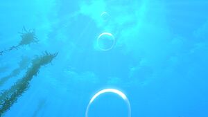 Purplebraincoral3.jpg