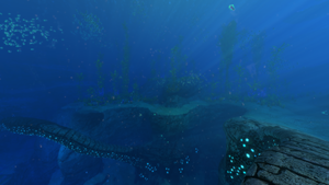STB Kelp Border.png