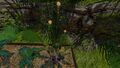 Thumbnail for version as of 22:28, 11 February 2016