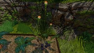VegetablePlant01.jpg