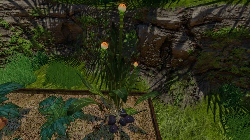 File:VegetablePlant01.jpg