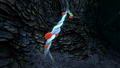 A Bloodroot
