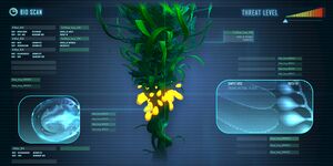 Creepvine-0.jpg
