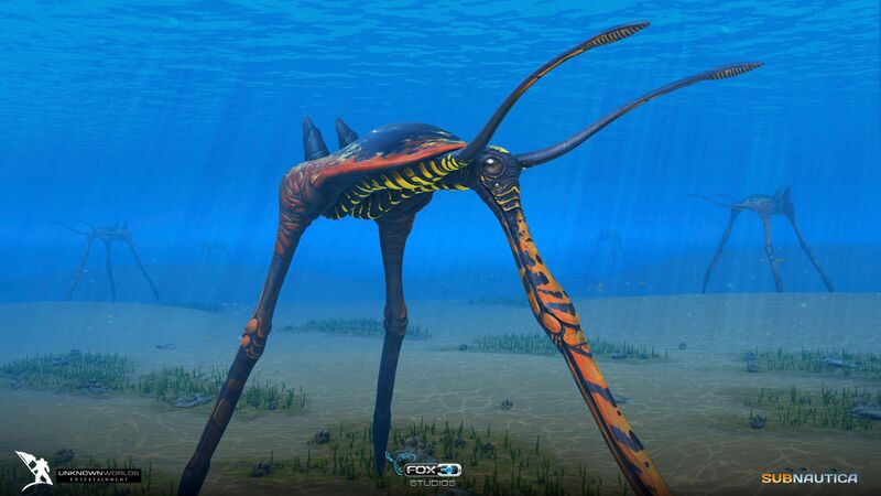 File:Fox3d-entertainment-subnautica-project36.jpg