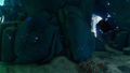 An ore vein found within a temperate cave