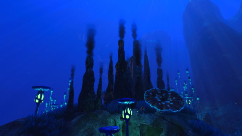 File:Hydrothermal Vent Cluster.jpg