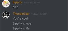 Image-2.jpeg