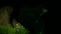 KelpForestCavesInfobox.png