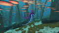 Mr. Warper then warps to the Mushroom Forest