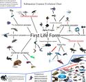 Subnautica evolution chart 2.0.jpg