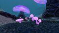 The smaller variant of the Snake Mushrooms