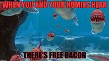 B452426A-5801-498A-9F89-3D129D9CD23C.jpeg