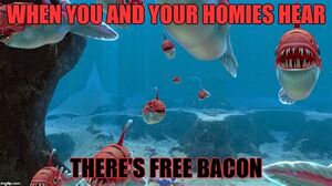 B452426A-5801-498A-9F89-3D129D9CD23C.jpeg