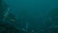 Thumbnail for version as of 20:31, 13 March 2019