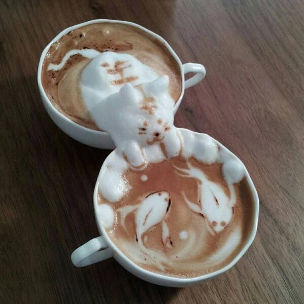 File:Coffee cat.jpg