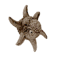 Thumbnail for version as of 17:46, 6 August 2021