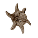 Cooked Spinner Fish Icon.png