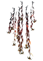Hanging Plant Flora.png