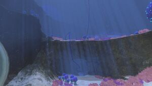 Lava Cave Upper.jpg