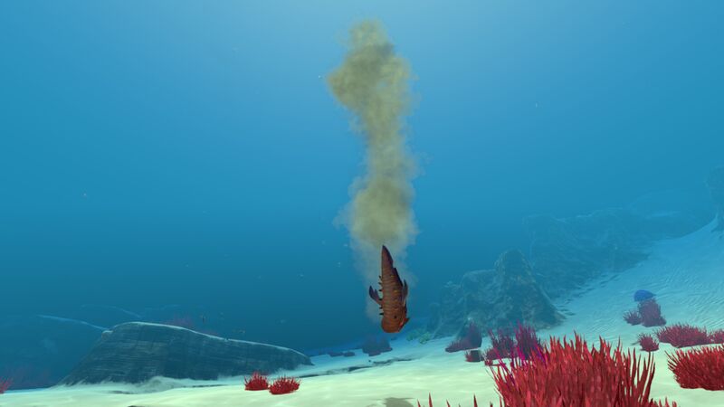 File:Sand Shark (11).jpg