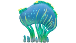 Sea Crown Flora.png