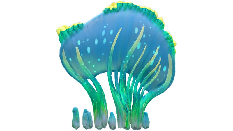 File:Sea Crown Flora.png