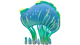 Sea Crown Flora.png