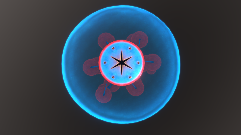 File:Small VG Top.png