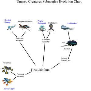 Unused Subnautica creature evolution chart.jpg