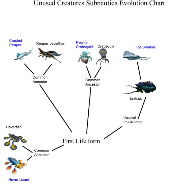 File:Unused Subnautica creature evolution chart.jpg
