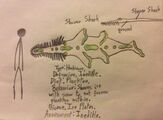 8A581948-57E6-48D3-A28D-5F0C7FF65871.jpeg