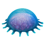 Ancient Floater Fauna.png
