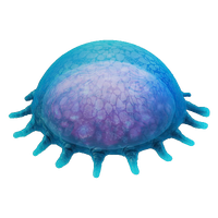 Ancient Floater Fauna.png