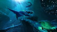 2 of 14, Series 1 Brute Shark