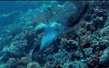 Thumbnail for version as of 16:25, 25 May 2017