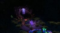 DunesCaves.jpg
