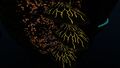 Shell Plate at night