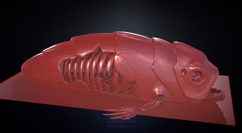 File:SpecimenThetaHighpoly.jpeg
