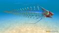 Developers's screenshot of the Spine Eel