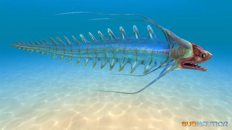 File:Spine eel in game.jpg