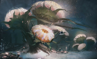 Cotton Anenome updated - by Dima Pertsula