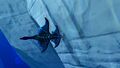 An Arctic Ray in the Ice Canyon's underwater portion