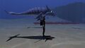 Size comparison with the player